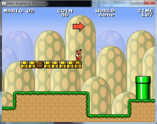 mariocompetition2011.jpg